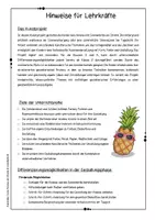 Vorschau - Unterrichtsreihen - Coole Ananas am Strand - Sommerliches Kunstprojekt für die Klassen 2–5 - Seite 3