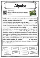 Vorschau - Unterrichtsreihen - Alpaka Lückentext mit Wortspeicher Hörverstehen und Suchsel - Seite 1