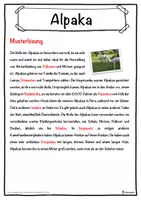 Vorschau - Unterrichtsreihen - Alpaka Lückentext mit Wortspeicher Hörverstehen und Suchsel - Seite 2