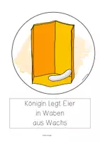 Vorschau - Poster - Entwicklung Honigbiene, Tafelbilder, vom Ei zum erwachsenen Tier - Seite 1