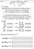 Vorschau - Arbeitsblätter - Einzahl Mehrzahl Nomen | 15 Arbeitsblätter | Deutsch Klasse 1 - Seite 1