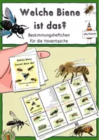 Vorschau - Merkblätter - Bienen bestimmen, Heftchen für die Hosentasche - Deckblatt