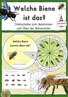 Vorschau - Mal- und Bastelvorlagen - Wildbienen und Honigbiene, Drehscheibe zur Bestimmung - Deckblatt
