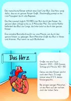Vorschau - Arbeitsblätter - Blutkreislauf & Herz - Seite 1