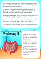 Vorschau - Arbeitsblätter - Verdauung - Seite 3