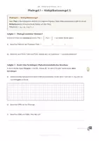 Vorschau - Stundenentwürfe - Daten und Zufall · Klasse 5–10 · Komplettpaket Realschule - Seite 2