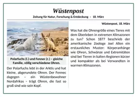 Vorschau - Stundenentwürfe - Mystery - Allensche Regel (Ökologie) - Seite 2