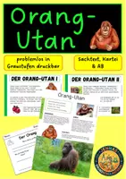 Vorschau - Arbeitsblätter - Orang-Utan - Deckblatt