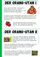 Vorschau - Arbeitsblätter - Orang-Utan - Seite 2