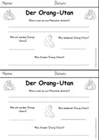 Vorschau - Arbeitsblätter - Orang-Utan - Seite 3