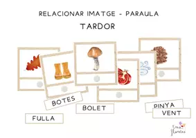 Vista previa - Tarjetas / Manipulativos - Pack de TARGETES per relacionar PARAULA - IMATGE. (estacions de l'any+carnaval) - página 1