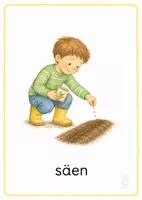Vorschau - Bildkarten - Im Garten – Bildkarten 1. & 2. Klasse - Seite 1