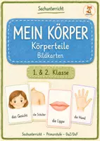 Vorschau - Bildkarten - Mein Körper / Körperteile - Bildkarten - Deckblatt