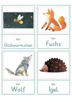 Vorschau - Spiele - Nachtaktive Tiere – Wort- und Bildkarten | Tiere der Nacht | 20 Tiere mit Artikel & Silbenschrift | differenziert Kita bis Klasse 2 | DaZ - Seite 2
