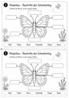 Vorschau - Arbeitsblätter - Miniheft A5 Schmetterling 1.Klasse - 2.Klasse - Seite 3