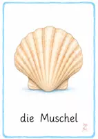 Vorschau - Bildkarten - Tiere am Wasser Bildkarten – 1.& 2. Klasse - Seite 2