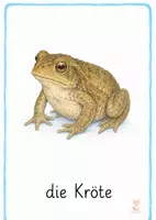 Vorschau - Bildkarten - Tiere am Wasser Bildkarten – 1.& 2. Klasse - Seite 3