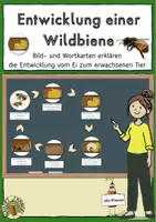 Vorschau - Poster - Entwicklung Wildbiene, Tafelbilder, vom Ei zum erwachsenen Tier - Deckblatt