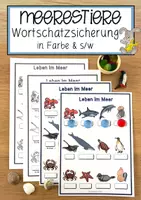 Vorschau - Anderer Materialtyp - Meerestiere Wortschatzsicherung in Farbe & s/w - Deckblatt