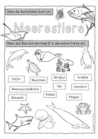 Vorschau - Anderer Materialtyp - Meerestiere Kopiervorlagen zur Wortschatzsicherung - Seite 1
