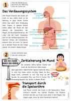 Vorschau - Stationenlernen - NT Stationen der Verdauung - Seite 1