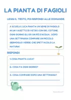 anteprima - Materiale di supporto/inclusione - comprensione del testo 5 schede (min e maiusc) - Pagina di copertina