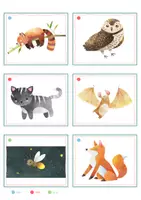 Vorschau - Spiele - Nachtaktive Tiere – Bildkarten | Tiere der Nacht | 20 Karten mit Artikelpunkten in zwei Größen | Kita Grundschule - Seite 2