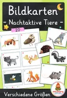 Vorschau - Spiele - Nachtaktive Tiere – Bildkarten | Tiere der Nacht | 20 Karten mit Artikelpunkten in zwei Größen | Kita Grundschule - Deckblatt