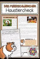 Vorschau - Arbeitsblätter - DAS MEERSCHWEINCHEN - Haustiercheck - Deckblatt