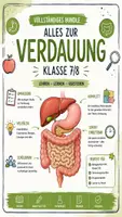 Vorschau - Arbeitsblätter - 🍎 Alles rund um die Verdauung 📚 Komplett-Bundle für Klasse 7/8+ Klassenarbeit - Deckblatt