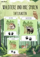 Vorschau - Präsentationen/Tafelbilder - Waldtiere und ihre Spuren - Tafelkarten - Deckblatt