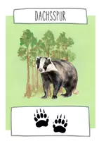 Vorschau - Präsentationen/Tafelbilder - Waldtiere und ihre Spuren - Tafelkarten - Seite 2