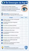 Vorschau - Arbeitsblätter - 👁️🧠 Die Sinnesorgane & das Nervensystem 📚🥼 Das große Unterrichts-Bundle für Klasse 7/8 - Seite 3
