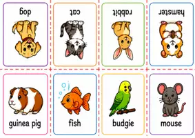 Vorschau - Arbeitsblätter - pets - Minibook mit 8 Haustieren inklusive Faltanleitung - Seite 1