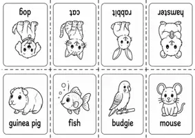 Vorschau - Arbeitsblätter - pets - Minibook mit 8 Haustieren inklusive Faltanleitung - Seite 2