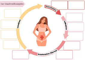Vorschau - Stundenentwürfe - Mystery zum Menstruationszyklus - Seite 2