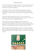 Vorschau - Präsentationen/Tafelbilder - Belohnungssystem (Tafelbilder Schlösser) - Seite 3