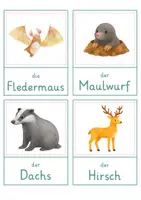 Vorschau - Spiele - Herbsttiere – Wort- und Bildkarten | 20 Tiere mit Artikel & Silbenschrift | differenziert Kita bis Klasse 2 | DaZ - Seite 2