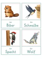 Vorschau - Spiele - Herbsttiere – Wort- und Bildkarten | 20 Tiere mit Artikel & Silbenschrift | differenziert Kita bis Klasse 2 | DaZ - Seite 3