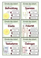 Vorschau - Spiele - Sexualkunde - Errate das Wort-Spiel - Seite 1