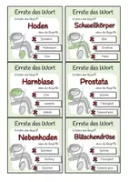 Vorschau - Spiele - Sexualkunde - Errate das Wort-Spiel - Seite 2