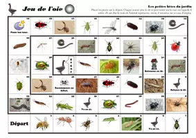 Aperçu - Jeux - Biologie_Jeux de l'oie animaux du sol et jardin + Corrigé - Page de couverture