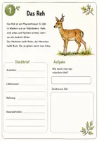 Vorschau - Arbeitsblätter - Waldtiere: Forscherheft Sachunterricht - Seite 2