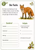 Vorschau - Arbeitsblätter - Waldtiere: Forscherheft Sachunterricht - Seite 3