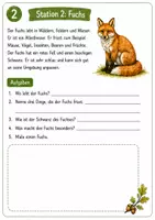 Vorschau - Arbeitsblätter - Waldtiere: Stationenlernen Sachunterricht - Seite 3