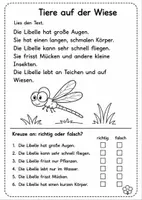 Vorschau - Arbeitsblätter - Richtig oder Falsch Leseblätter – 1./2. Klasse ✅❌ - Seite 1