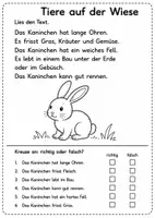 Vorschau - Arbeitsblätter - Richtig oder Falsch Leseblätter – 1./2. Klasse ✅❌ - Seite 2