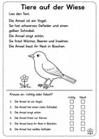Vorschau - Arbeitsblätter - Richtig oder Falsch Leseblätter – 1./2. Klasse ✅❌ - Seite 3