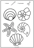 Vorschau - Mal- und Bastelvorlagen - 🐚 Muschelkranz Bastelvorlage für Kinder – Sommer Basteln zum Ausmalen, Ausschneiden & Aufkleben 🐚 - Seite 3