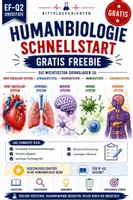 Vorschau - Stundenentwürfe - Humanbiologie Schnellstart-Gratis Freebie für die Oberstufe (EF-Q2) - Deckblatt